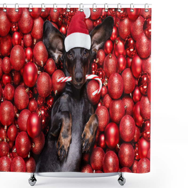 Personality  Christmas Santa Claus Dog And Xmas Balls Or Baubles As Backgroun Shower Curtains