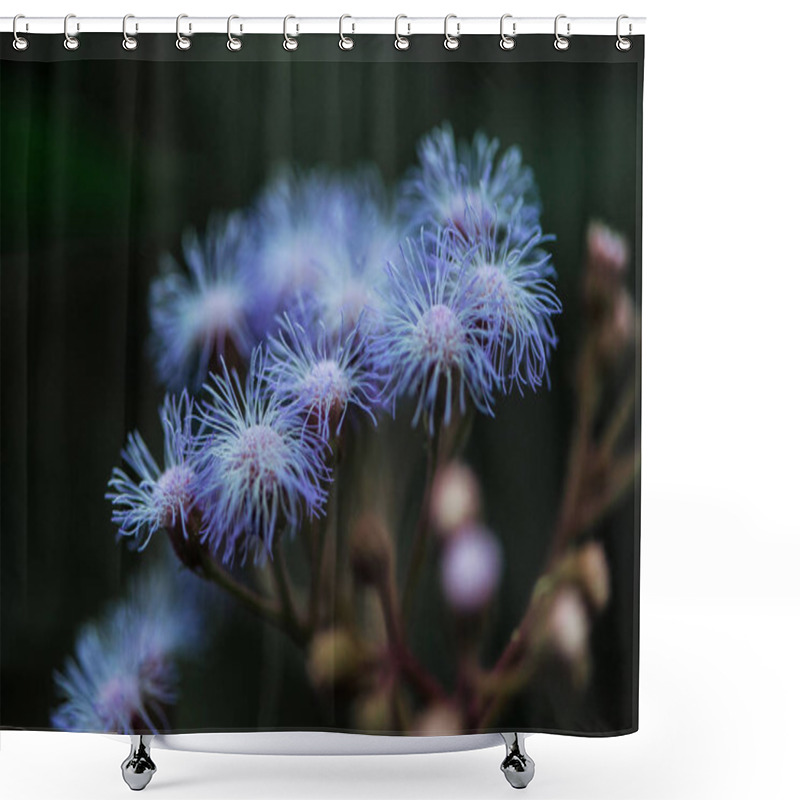 Personality  Close Up View Of Blue Wildflowers On Blurred Background Shower Curtains