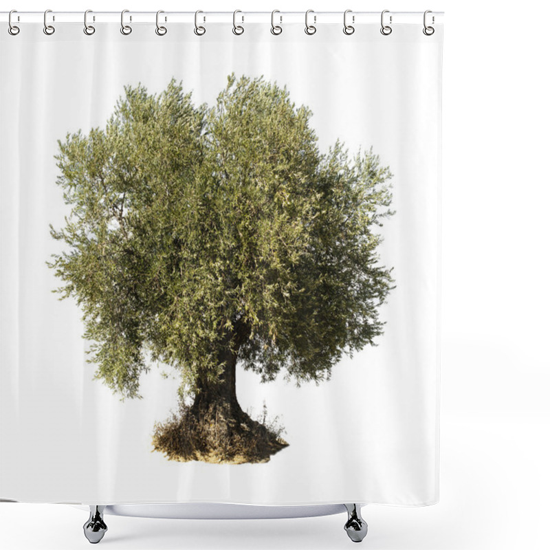 Personality  Olive Tree White Isolated Shower Curtains