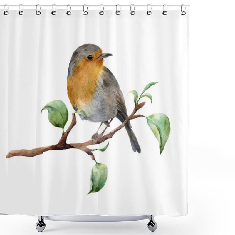 Personality  Watercolor Robin Sitting On Tree Branch With Leaves. Hand Painted Spring Illustration With Bird Isolated On White Background. Nature Print For Design. Shower Curtains