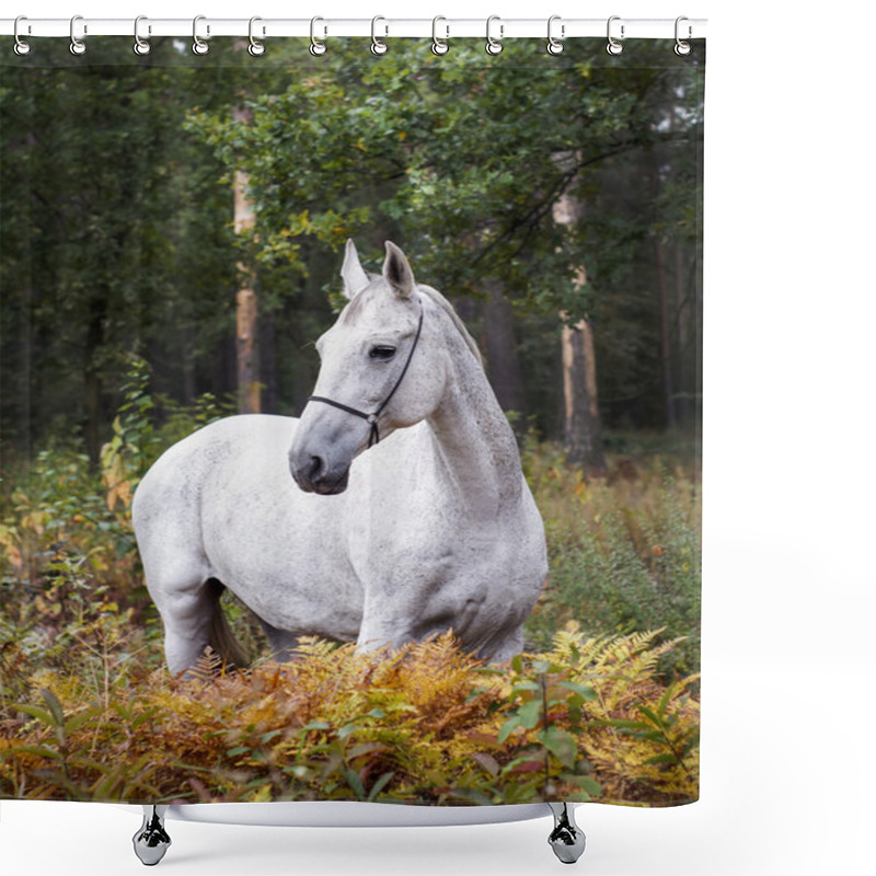 Personality  Gray Horse Standing In The Forest On The Green Grass Near The Trees Shower Curtains