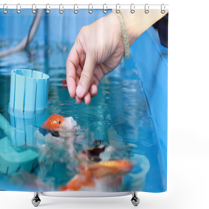 Personality  The Many Kinds Of Goldfish Oranda Goldfish, Lionhead Goldfish, And Ranchu Goldfish Are Swimming In The Plastic Trough. Shower Curtains