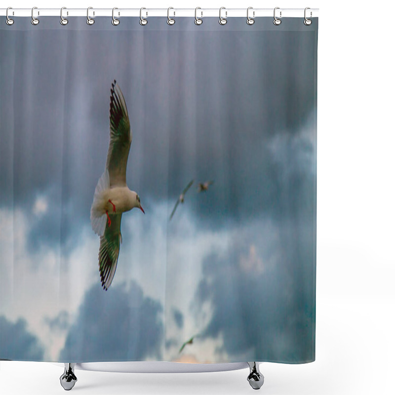 Personality  Seagulls Flying In A Cloudy Sky. Birdwatching. Shower Curtains