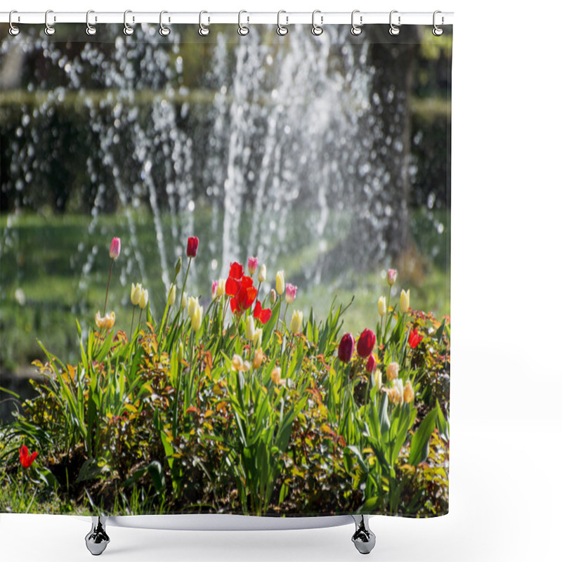 Personality  Beautiful Tulips And Fountain Shower Curtains