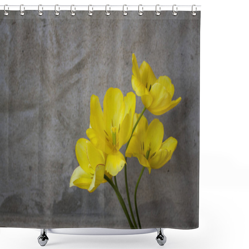 Personality  Four Yellow Tulip Flowers. Blooming Buds Of Tulips. Bouquet Of Flowers On The Background Of An Empty Textural Wall. Shower Curtains