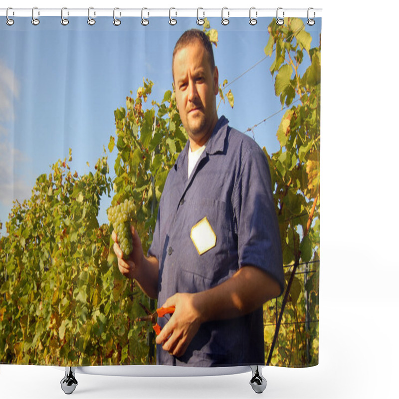 Personality  Harvesting Grape Shower Curtains