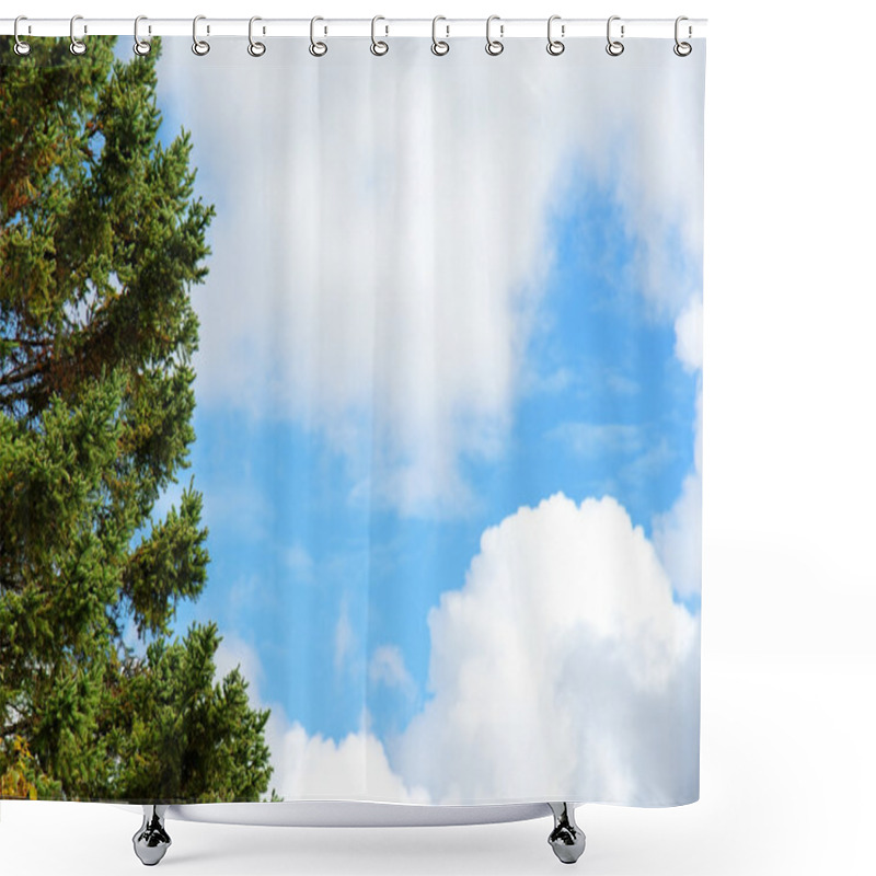 Personality  Evergreen Tree And Blue Sky Shower Curtains