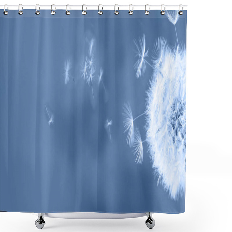 Personality  White Dandelion On Blue Shower Curtains