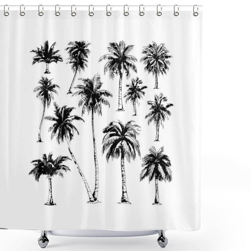 Personality  Black And White Palm Tree. Vector Illustration Design. Shower Curtains