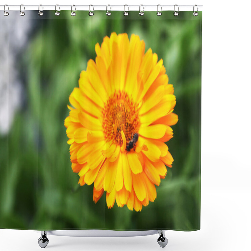 Personality  Close Up Of Orange Calendula Officinalis - Marigold Shower Curtains