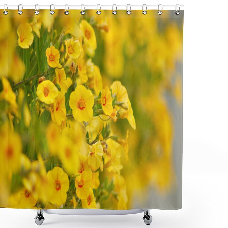 Personality  Yellow Flowers Shower Curtains