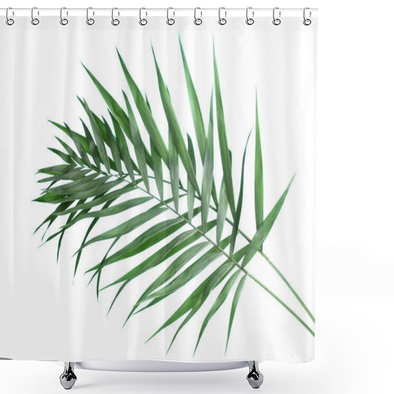 Personality  Beautiful Palm Leaves On Blue Background Shower Curtains