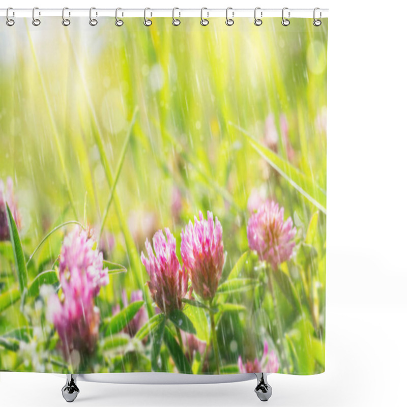 Personality  Natural Background. Summer Bright Scene With A Flowering Flower Clover In The Rain Shower Curtains