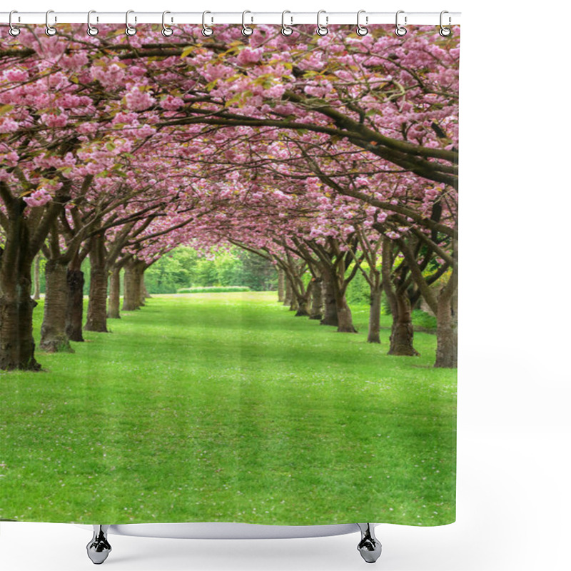 Personality  Cherry Blossom In Copenhagen Shower Curtains