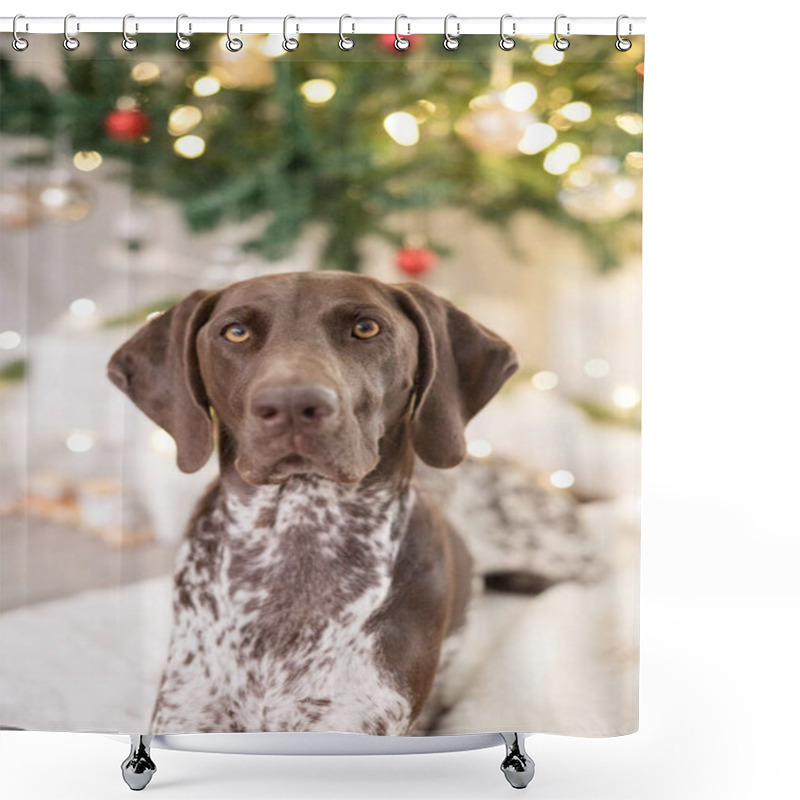 Personality  Cute Dog Looking Into The Camera In Front Of Christmas Tree Shower Curtains