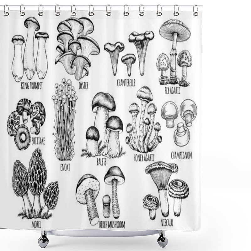 Personality  Set Edible Mushrooms Vector Shower Curtains