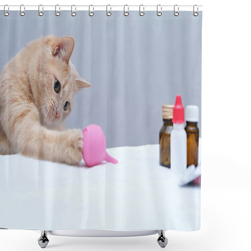 Personality  Red Cat Playing With A Pink Rubber Medical Enema. Pet Treatment Concept. Shower Curtains