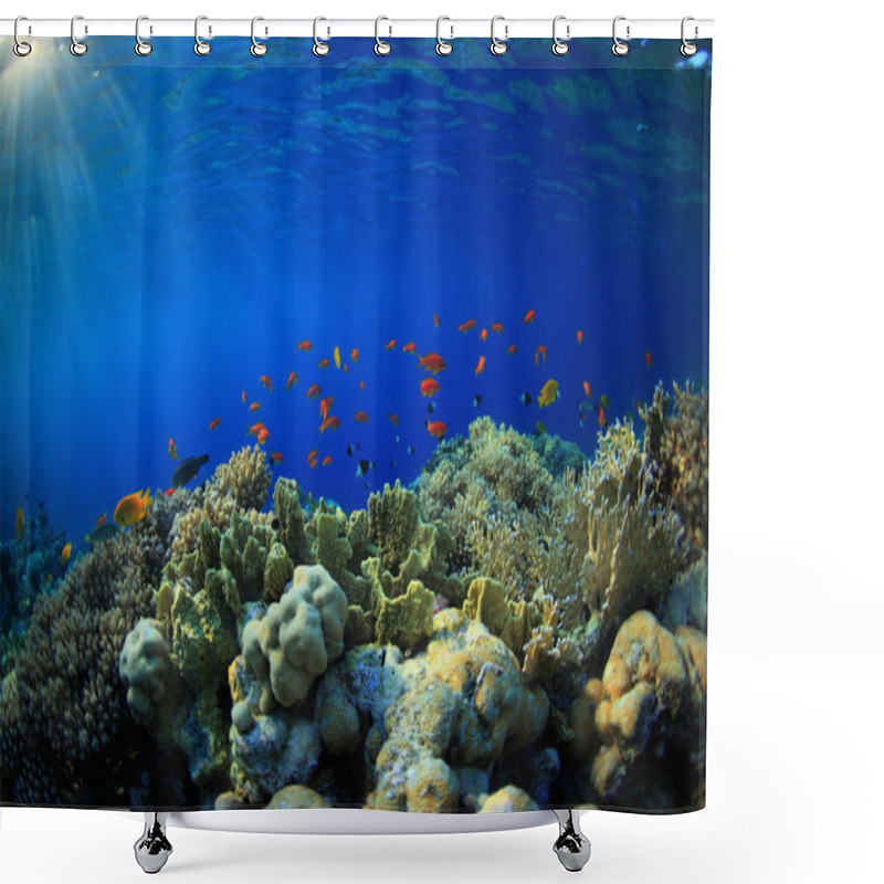 Personality  Coral Reef Shower Curtains