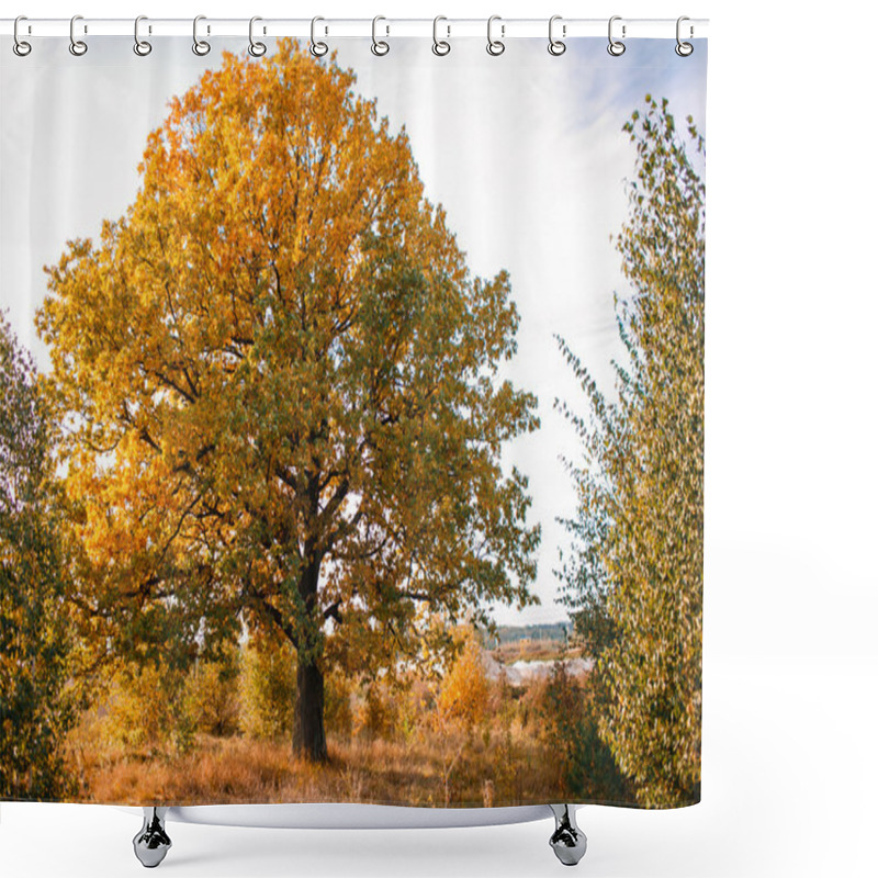 Personality  Autumn Landscape With Orange Oak Tree In The Field. Nature - In Sunny . Picturesque View Of . In Sunlight Shower Curtains