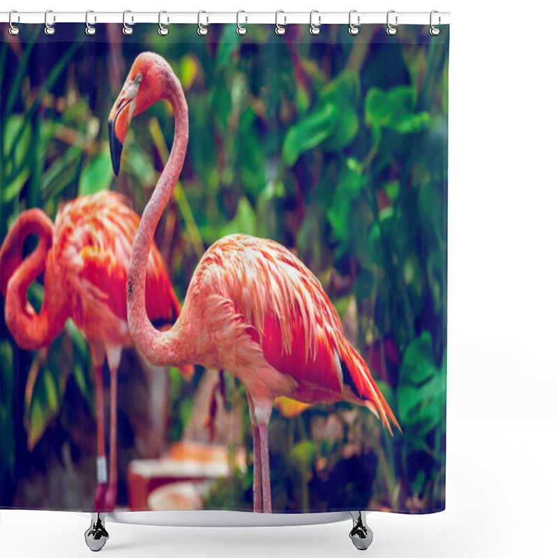 Personality  Pink Flamingo Shower Curtains