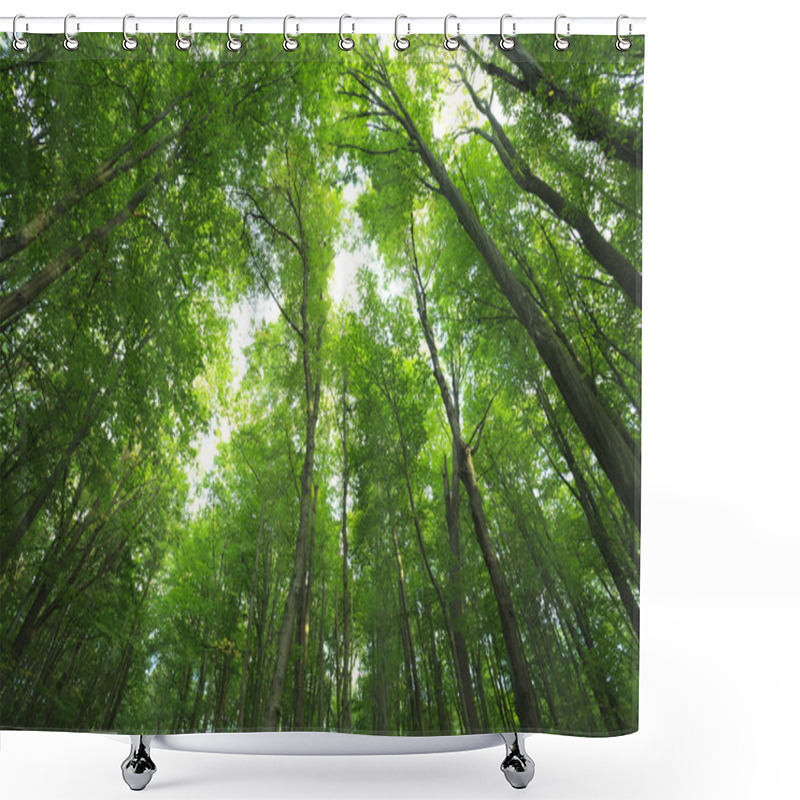 Personality  Forest Shower Curtains