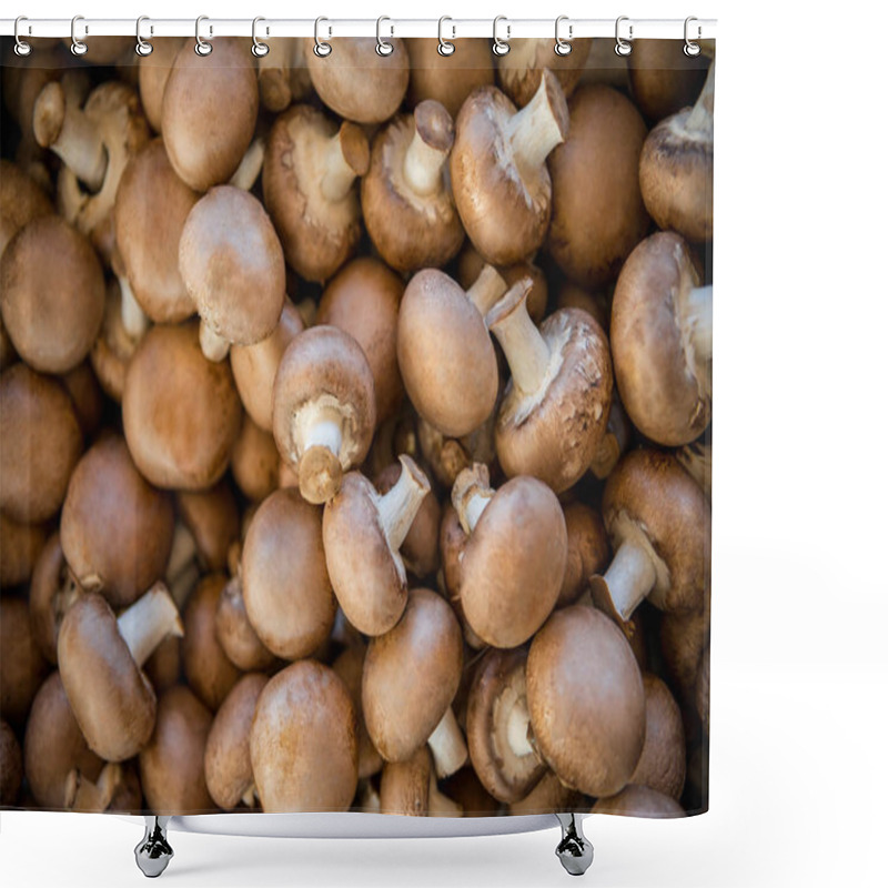 Personality  Mushrooms Shower Curtains