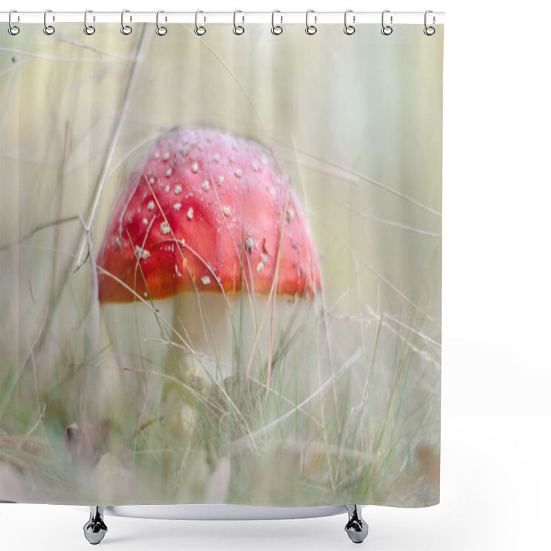 Personality  Red Mushroom - Agaric. Sunny Day. Shower Curtains