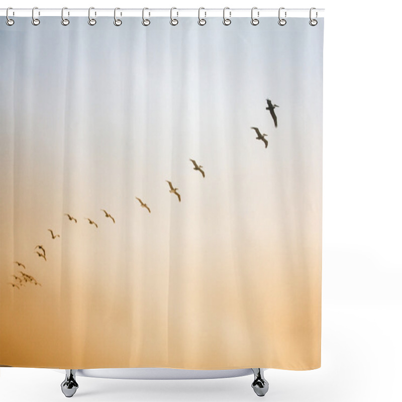 Personality  A Flock Of Birds Shower Curtains