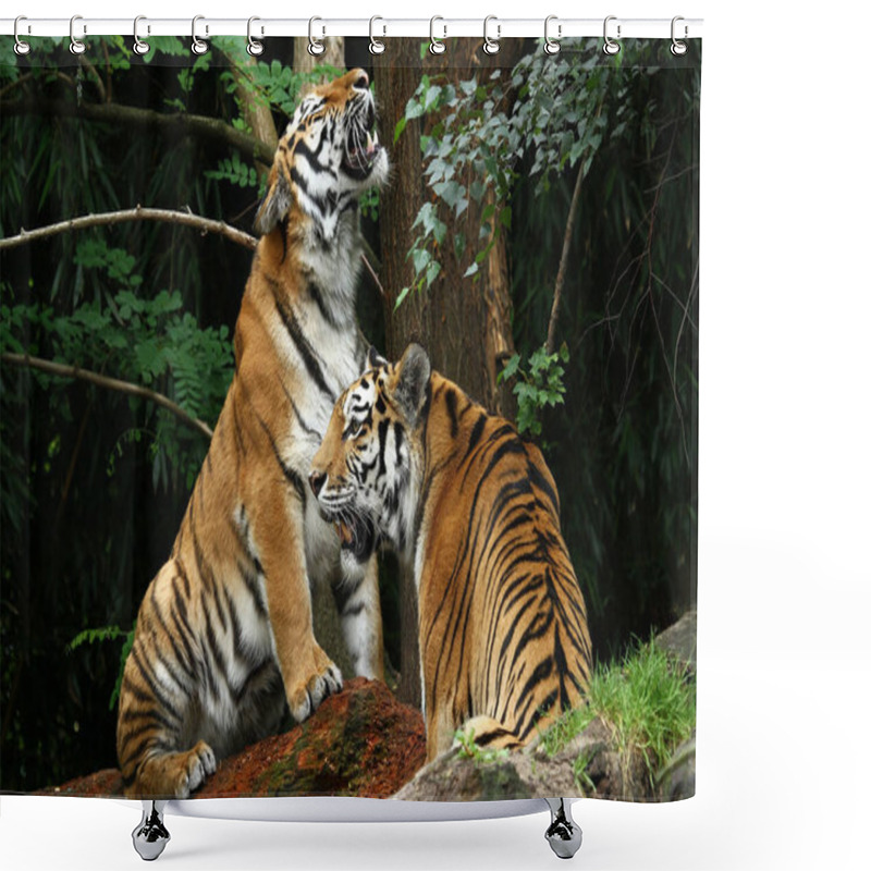 Personality  Closeup Of Animal At Zoo Shower Curtains