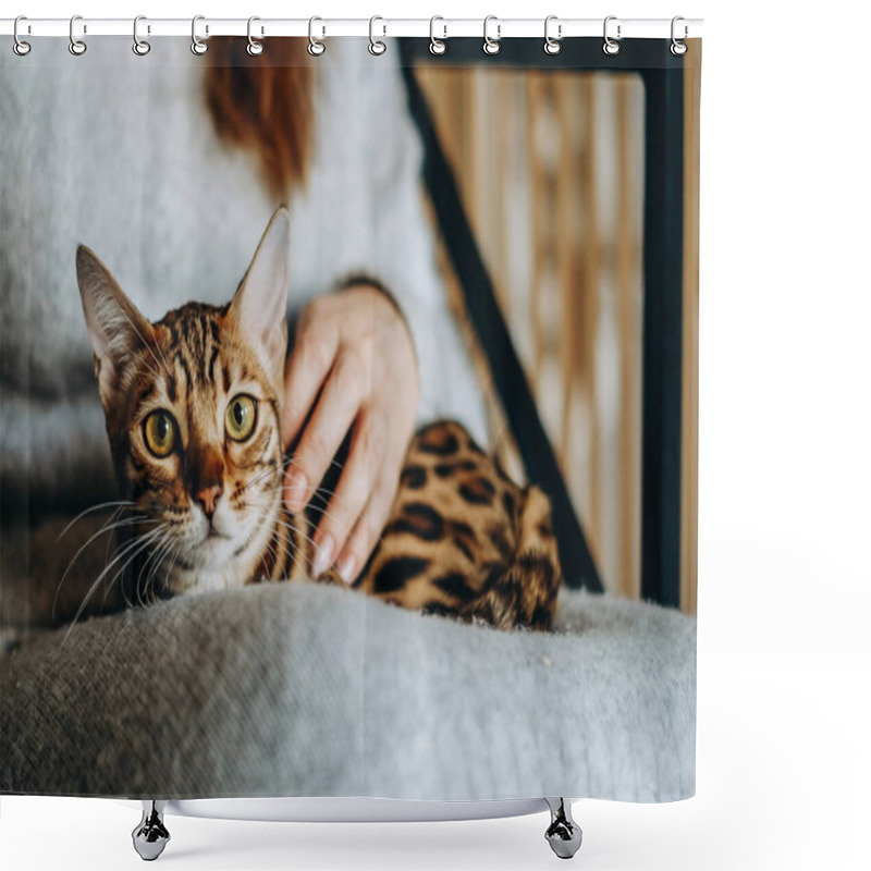 Personality  Love For Cats. A Woman Sits In A Chair At Home And Holds Her Beloved Bengal Cat In Her Arms. A Cozy Evening With Your Beloved Cat In Your Arms. Shower Curtains