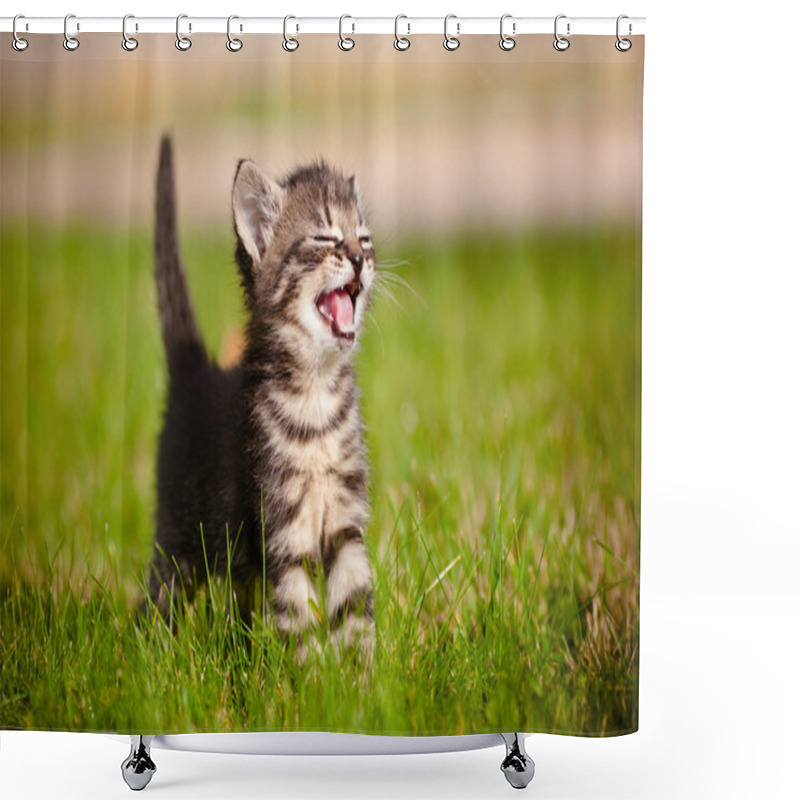 Personality  Tabby Kitten Outdoors Meowing Shower Curtains