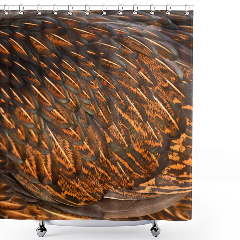 Personality  Chicken Feather Shower Curtains