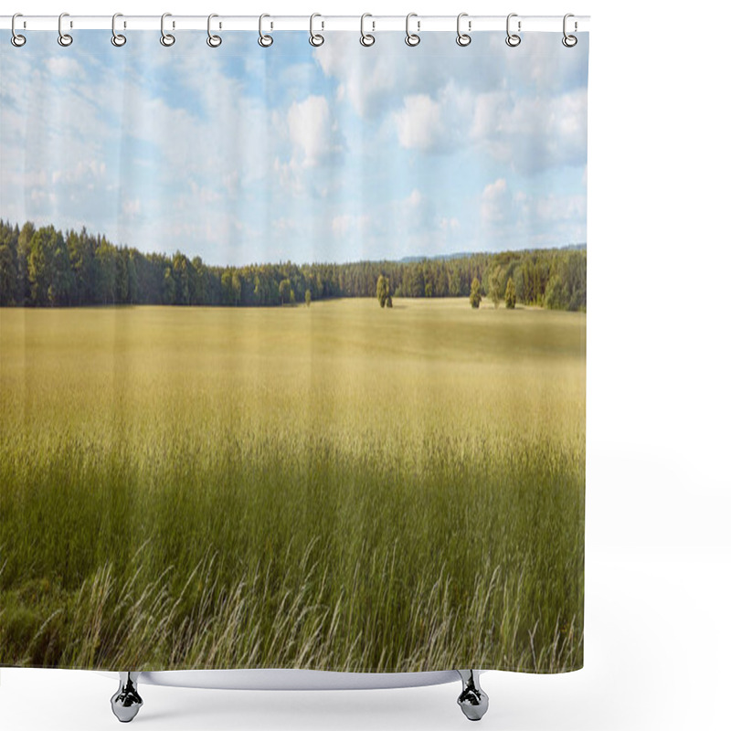 Personality  Grass Shower Curtains