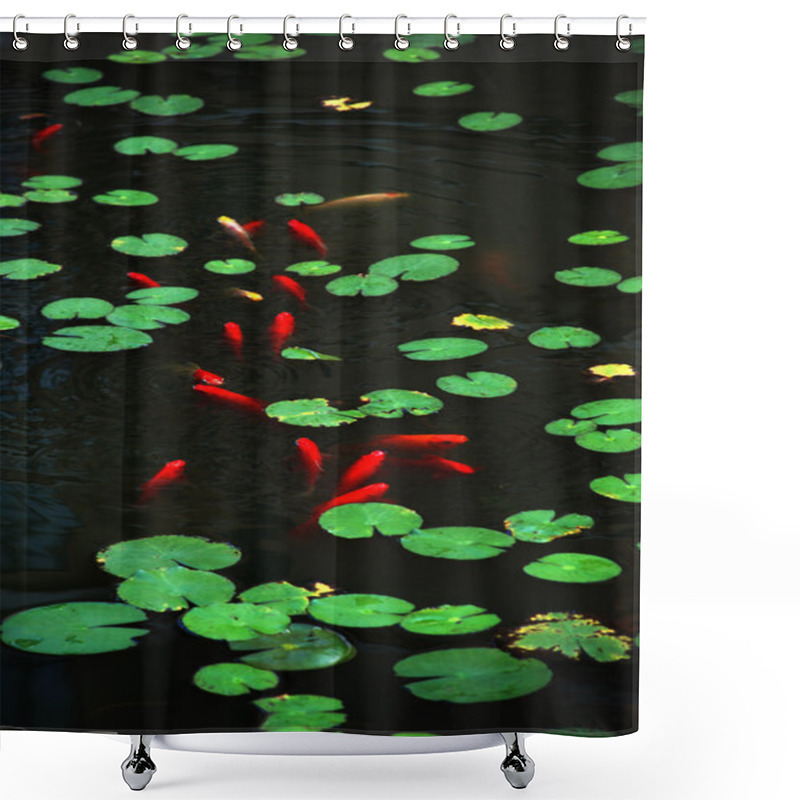 Personality  The Round Green Lotus Leaves And Red Fishes In A Garden Pond. Shower Curtains