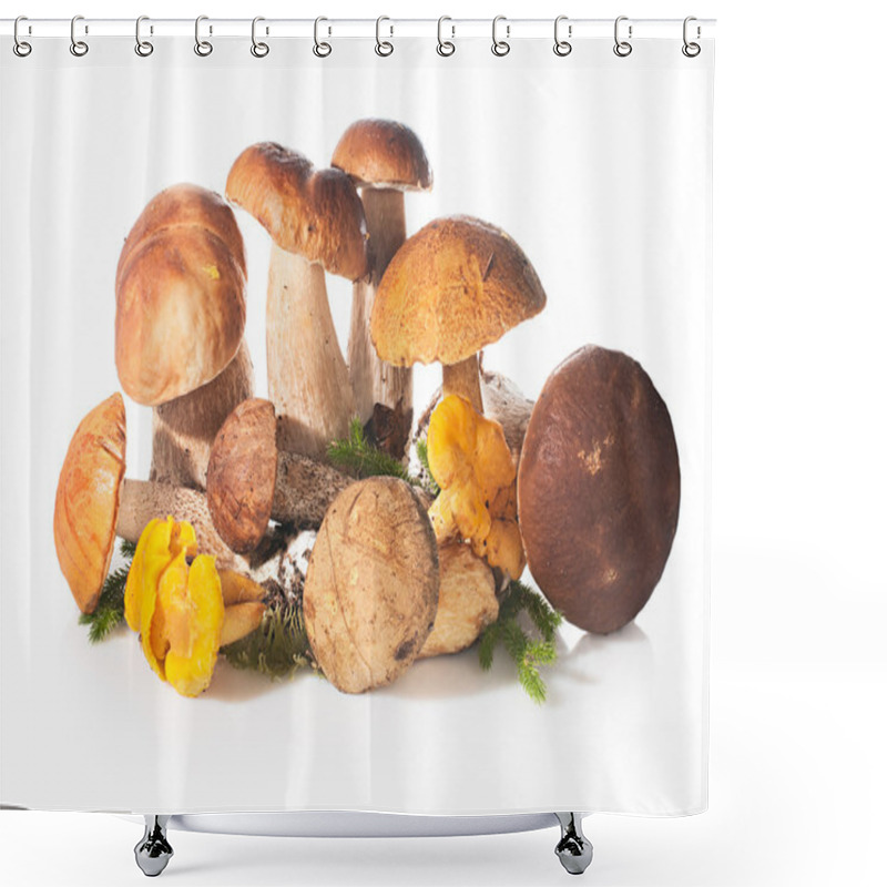 Personality  Fresh Forest Edible Mushrooms On A White Background. Shower Curtains