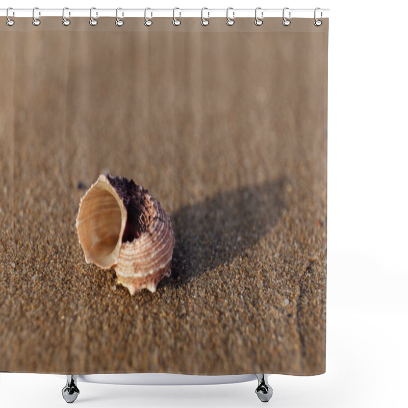 Personality  Selective Focus Of Seashell On Wet Sand On Beach Shower Curtains