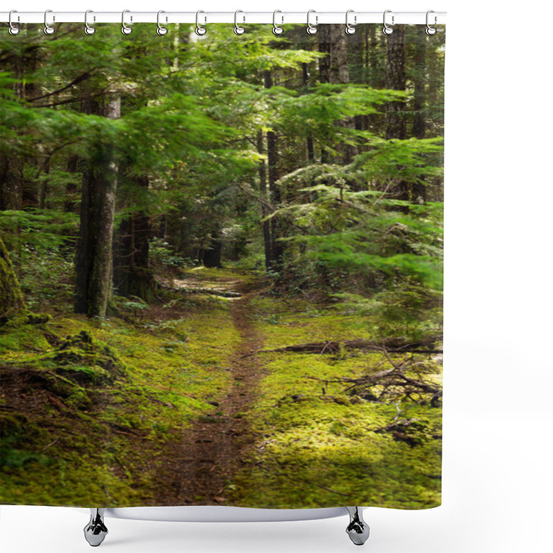 Personality  Trail Through Mossy Forest On Cortes Island, BC Shower Curtains