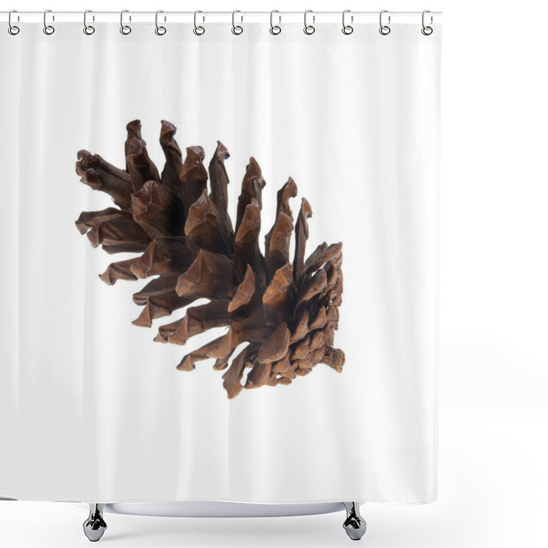 Personality  Christmas Pine Cone Isolated On White Background. Shower Curtains