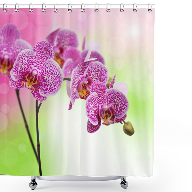 Personality  Orchid Flowers Shower Curtains