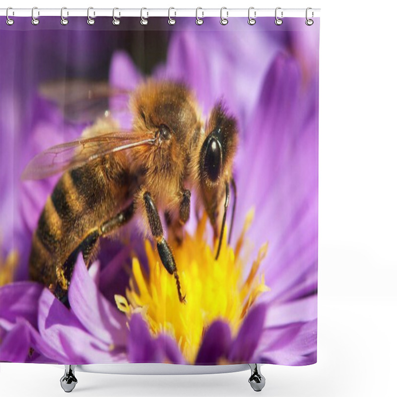 Personality  Honey Bee Sitting On The Violetflower Shower Curtains