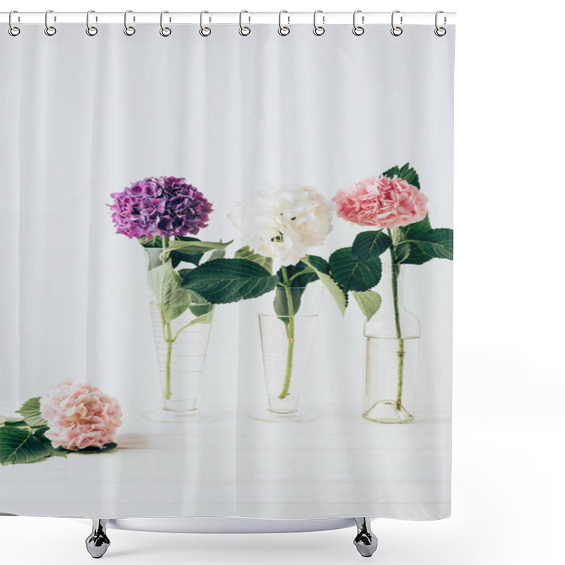 Personality  Pink, Purple And White Hydrangea Blossom In Glass Vases, On White Shower Curtains