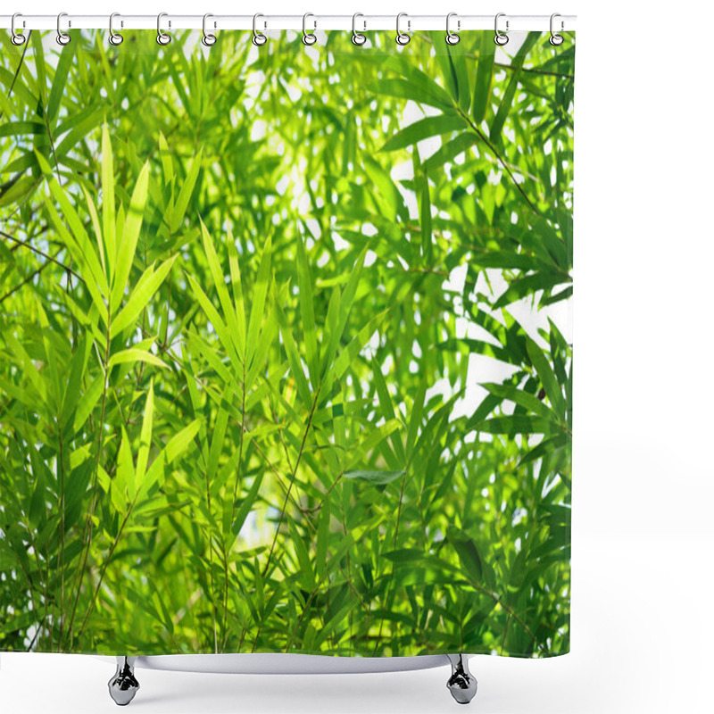 Personality  Tropical Bamboo Leaves Shower Curtains