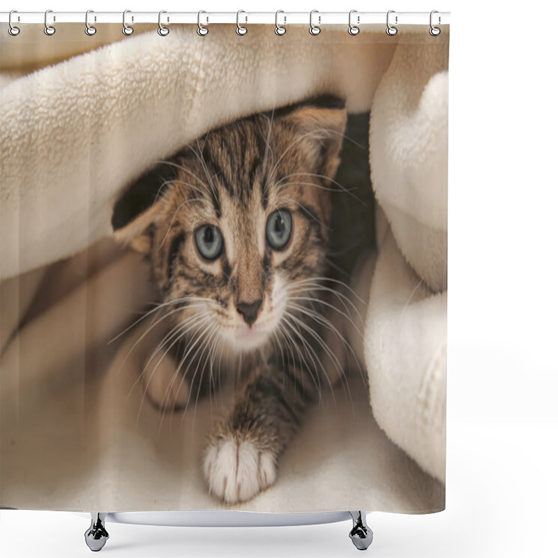 Personality  Kitten Peeping Out From Under The Blanket Shower Curtains