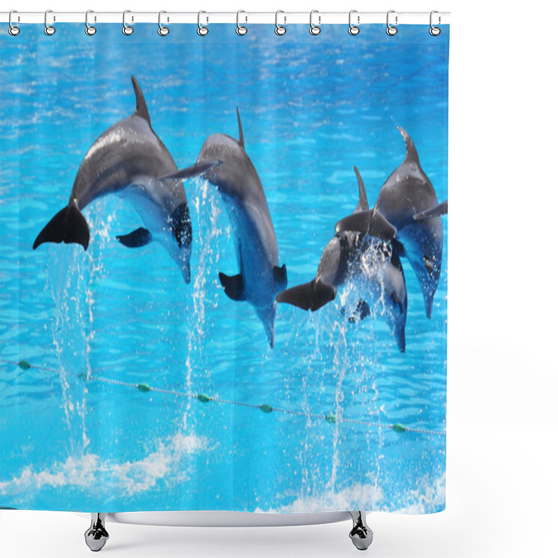 Personality  Dolphins Shower Curtains