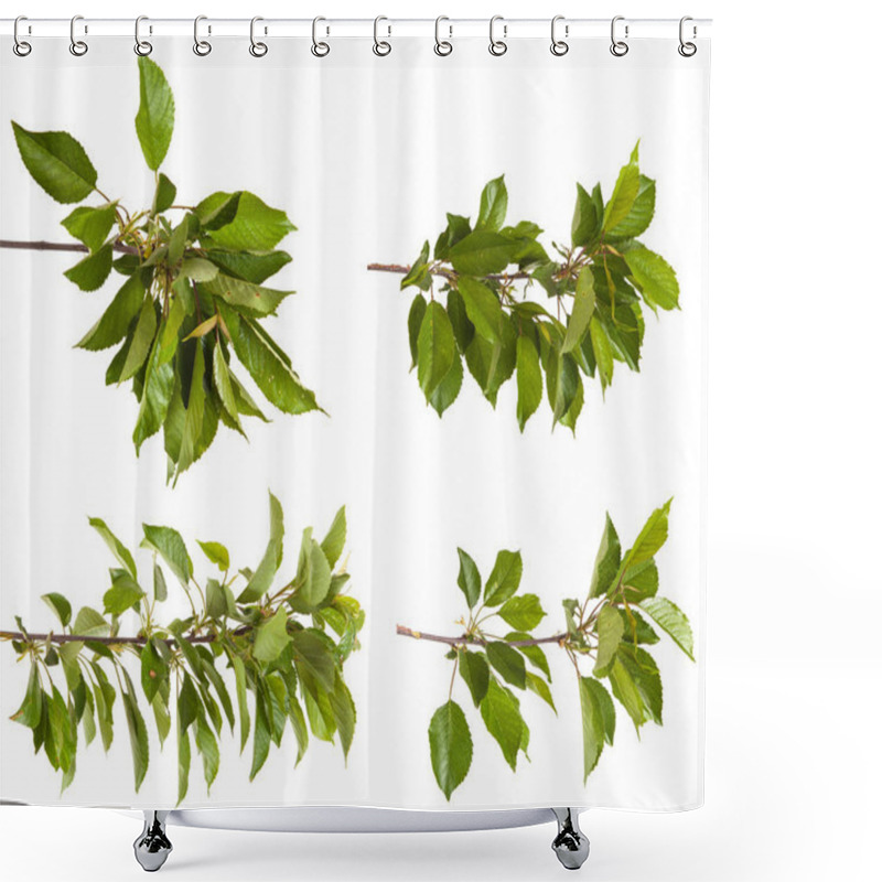 Personality  Cherry Tree Branch Isolated On White Background. Set Shower Curtains