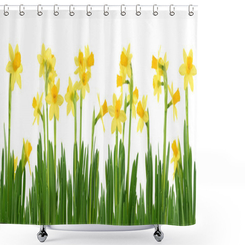 Personality  Yellow Daffodils Shower Curtains