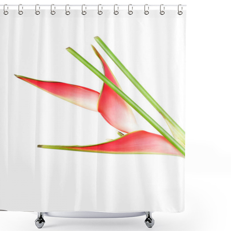 Personality  Tropical Heliconia Flower Shower Curtains