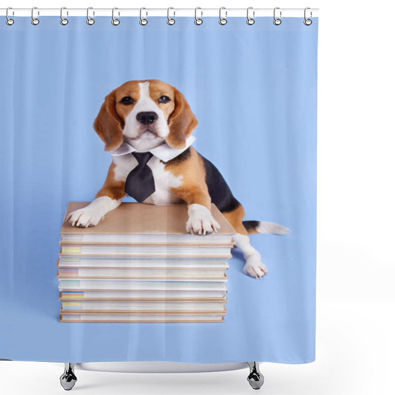 Personality  A Beagle Dog In A Tie On A Stack Of Books On A Blue Isolated Background. The Concept Of Education, Back To School. Vertical Orientation. Shower Curtains