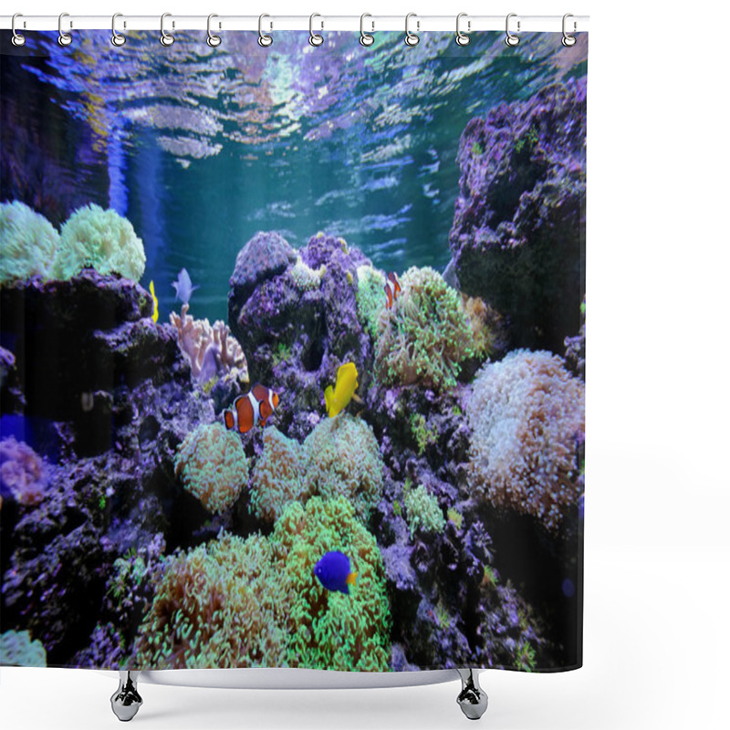 Personality  Underwater Scene Shower Curtains