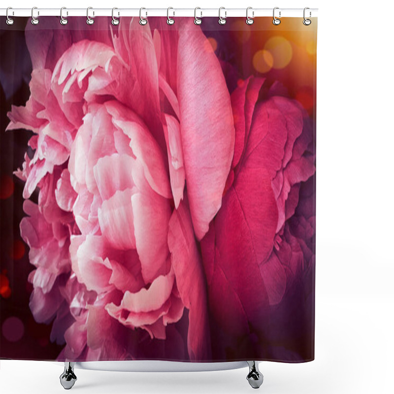 Personality  Pink Peony Rose Petals Peonies Background Shower Curtains